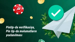 PinUp-da doğrulama, PinUp-da məlumatların yoxlanışı